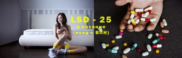 spice Беломорск