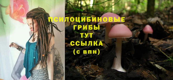 spice Беломорск