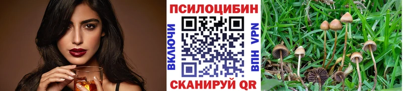 купить  цена  мега сайт  Псилоцибиновые грибы мицелий  Горно-Алтайск 