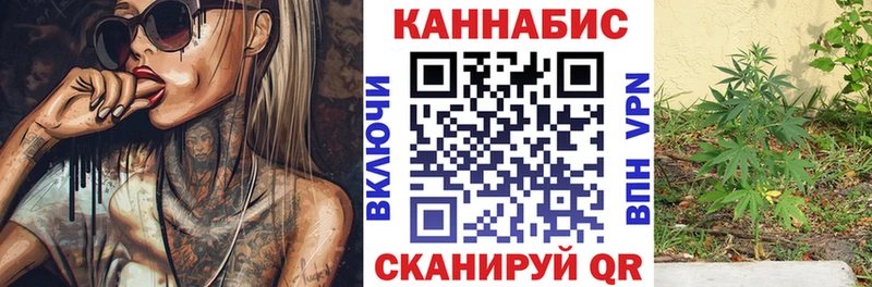 Бошки марихуана сатива  сколько стоит  это наркотические препараты  Горно-Алтайск 